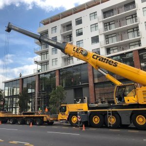 Transporting Trees | Crane Hire | Moving Trees & Crane Truck Hire